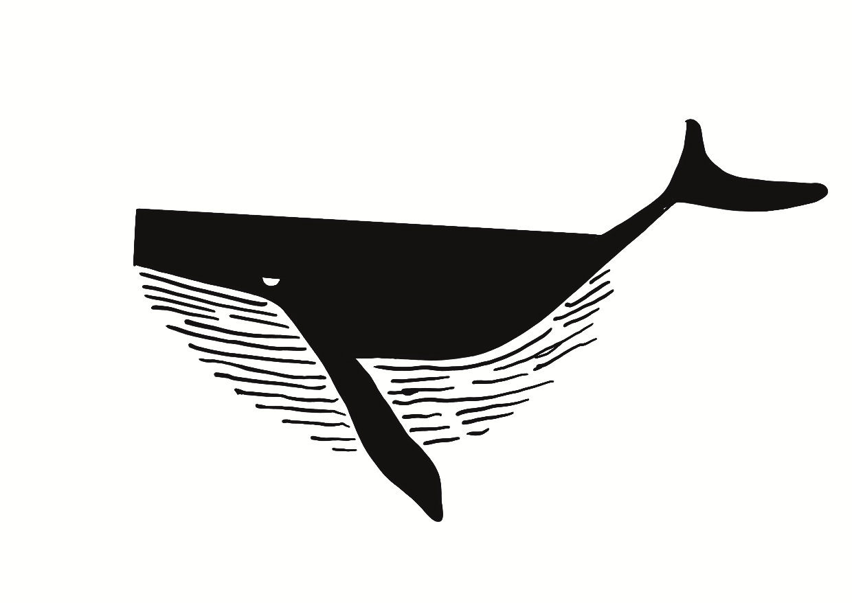 Baleine des Açores