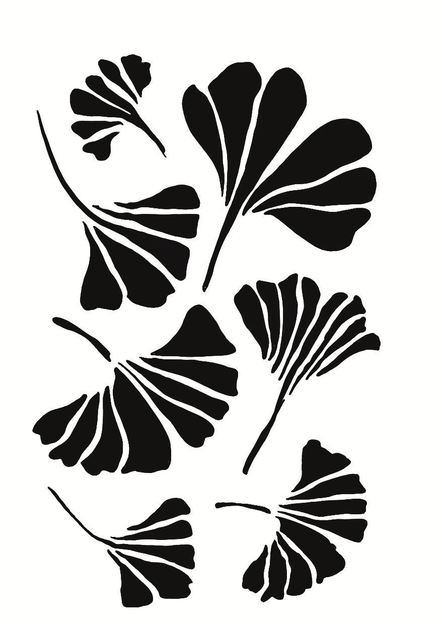 Ginkgo de Kyoto