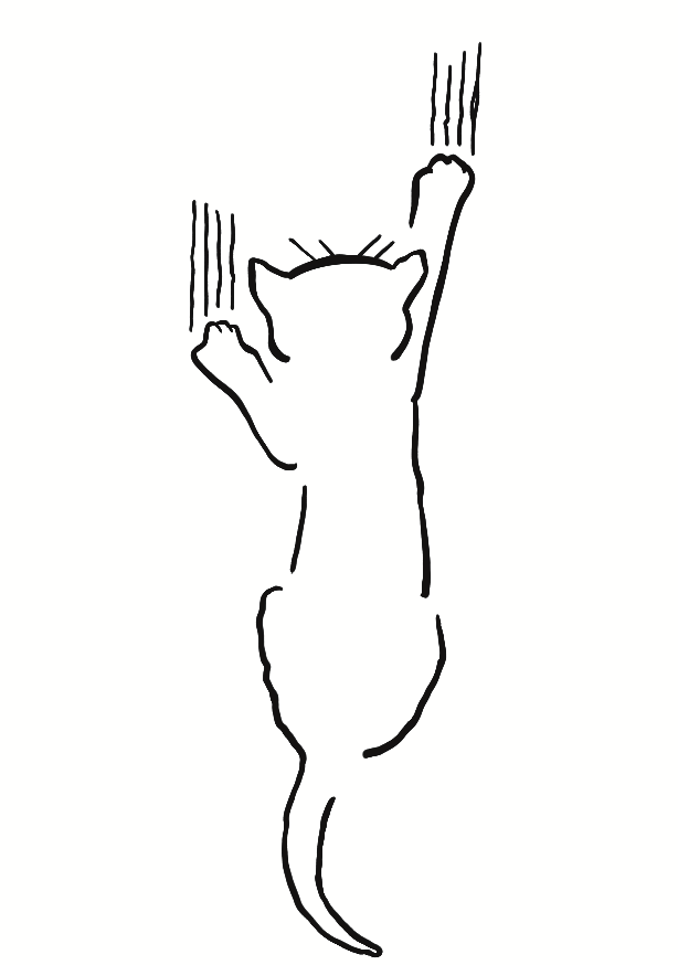 Chat de Gouttière