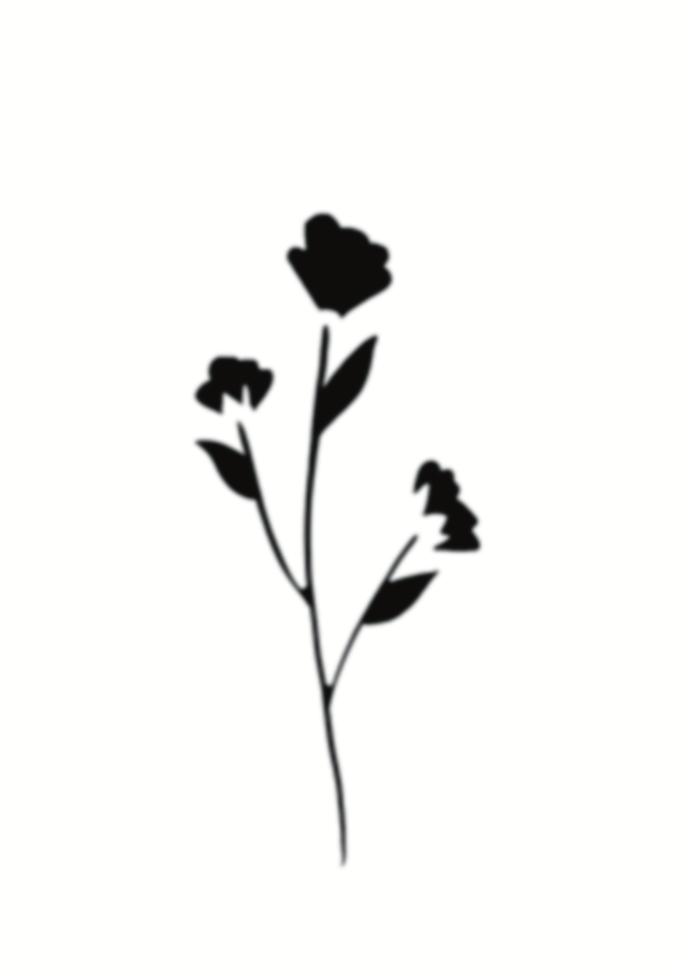 Fleurs de Minuit