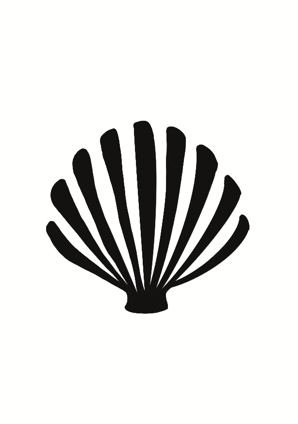 Coquillage d'Écume