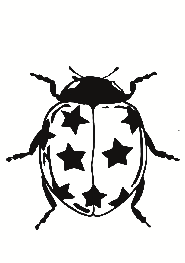 Coccinelle de Camargue