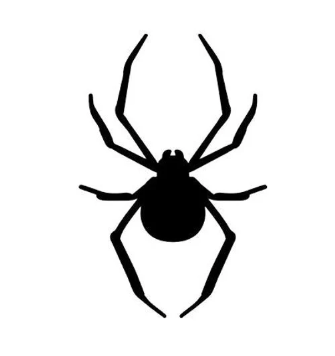 Araignée de Grenier
