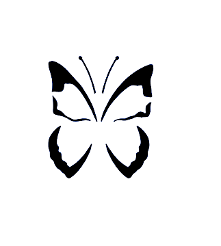 Papillon de Niki