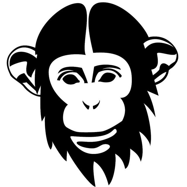 Macaque de Rhésus