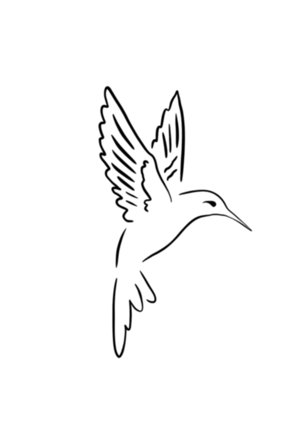 Colibri de Yucatan
