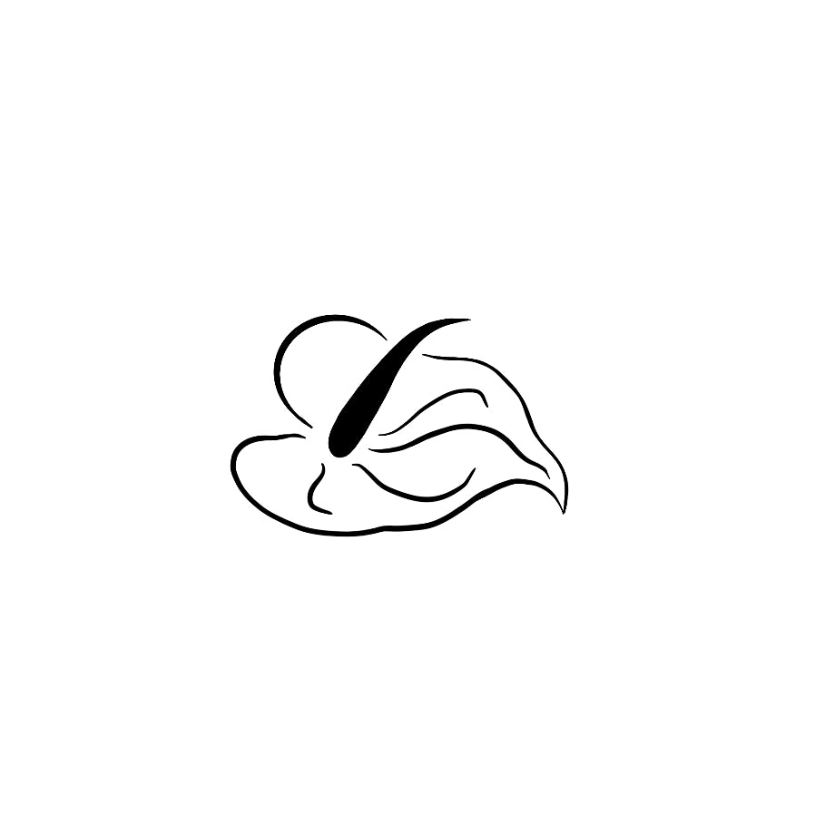 133- Fleur d'Arum