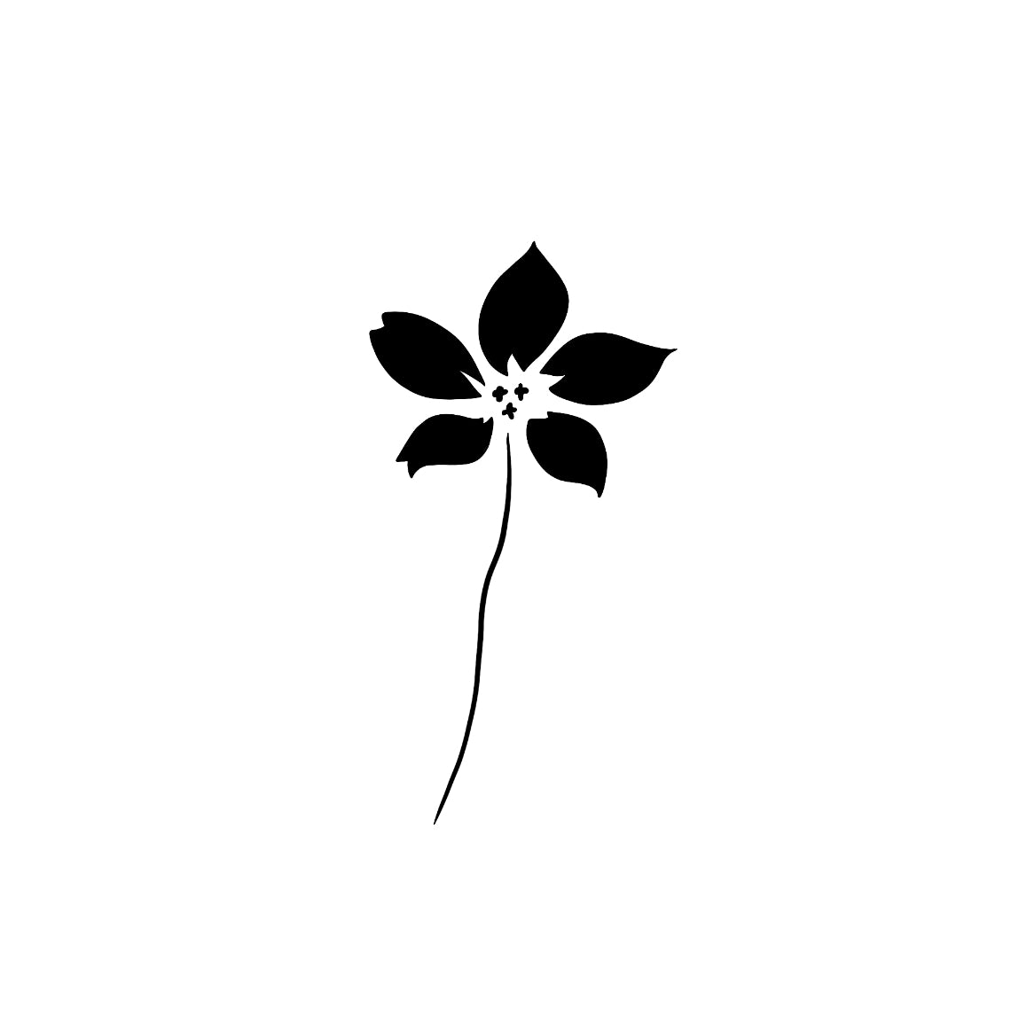 Fleur de frangipanier