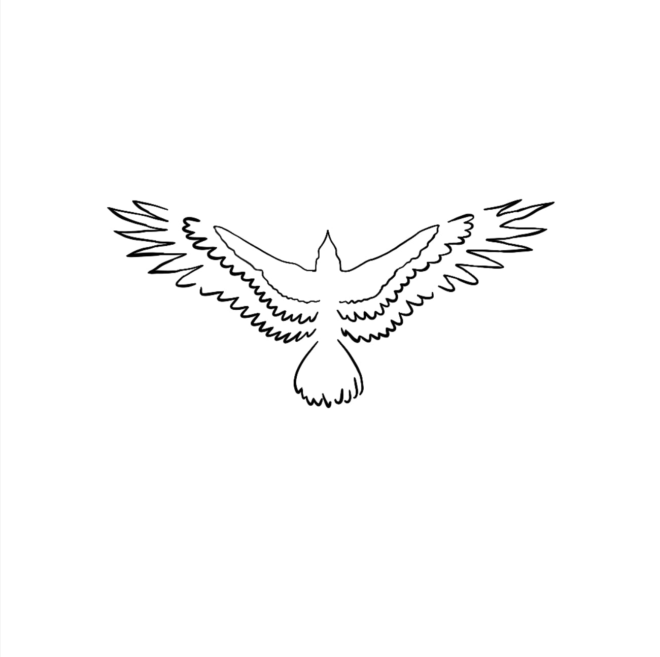 Aigle des Pyrénées