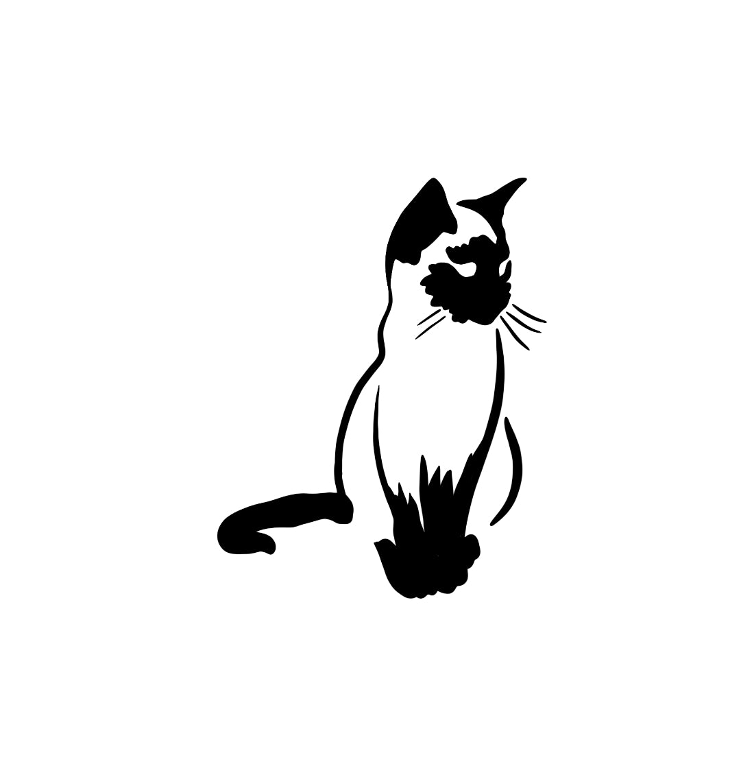 Chat Felix