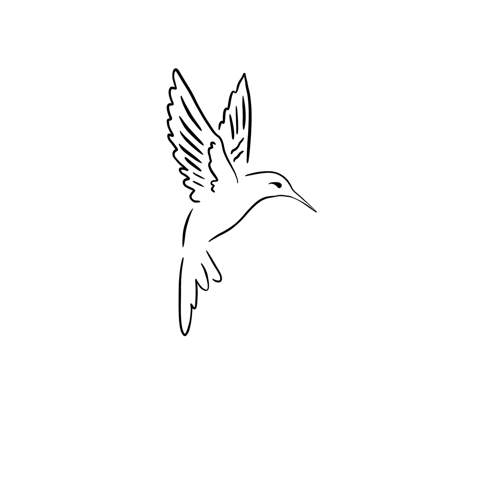 Colibri du Yucatán