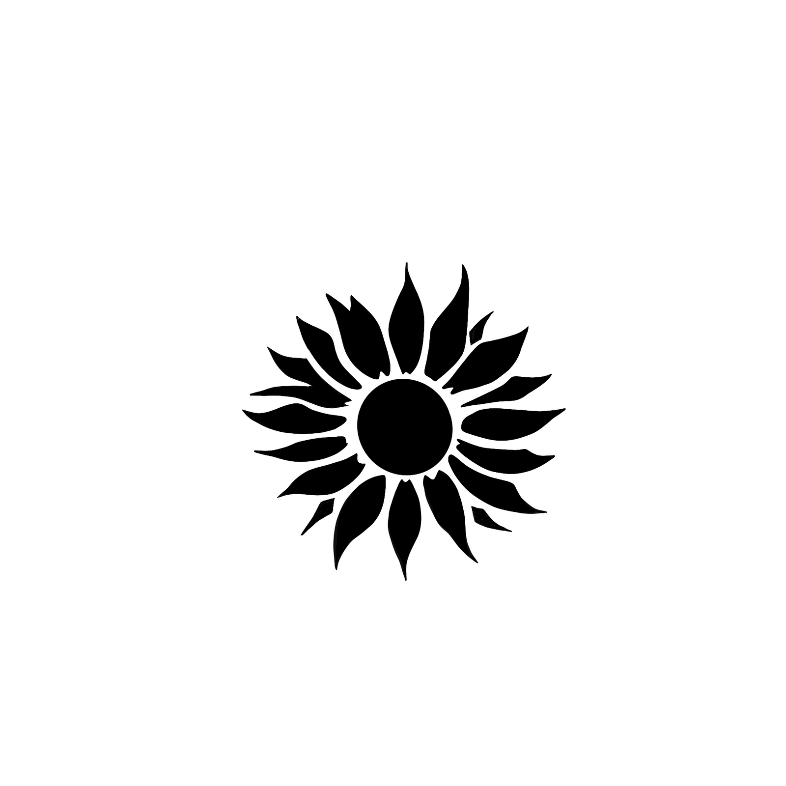 Tournesol d'Arles