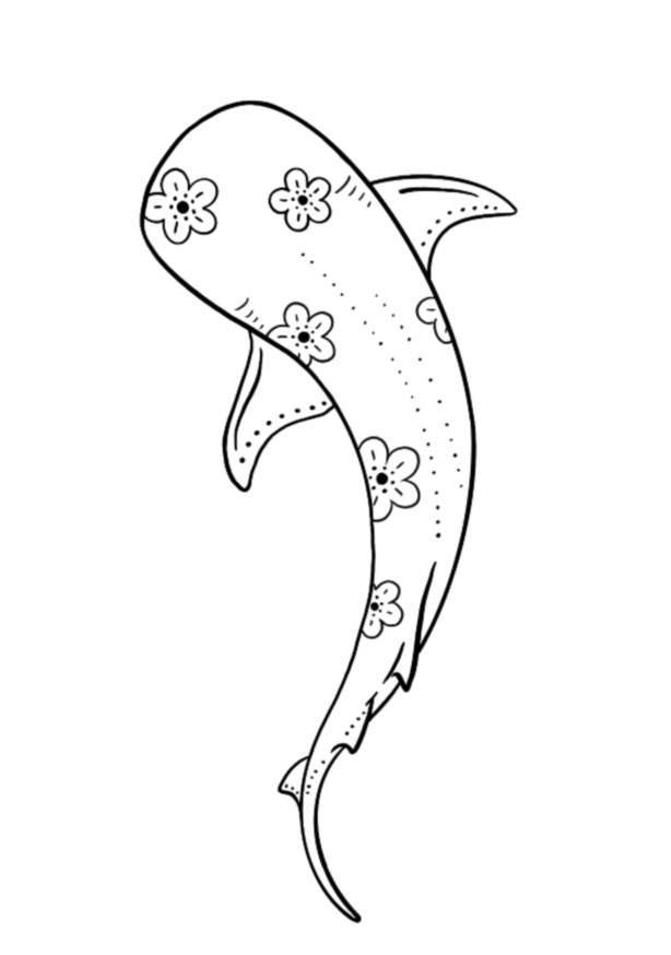 Requin de Sakura