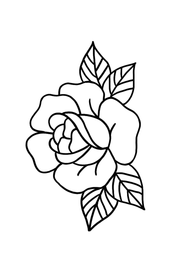 Rose d’Éclat