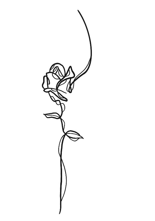Rose de Grasse