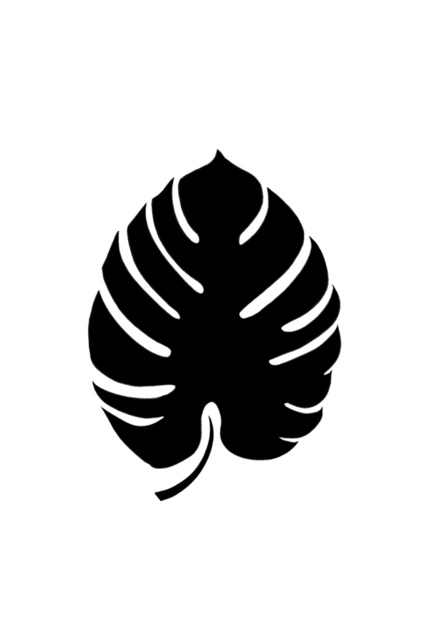 Monstera des Tropiques