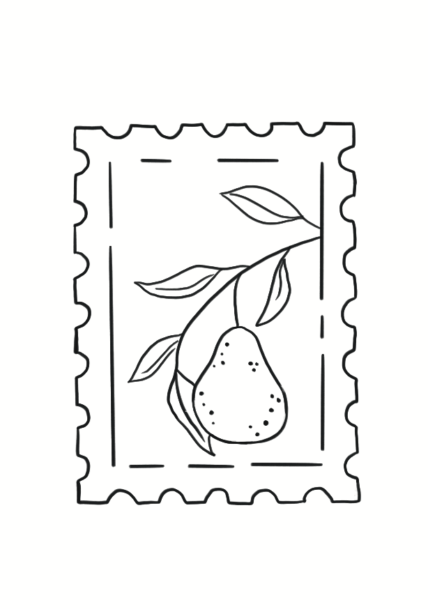 Poire de Saison
