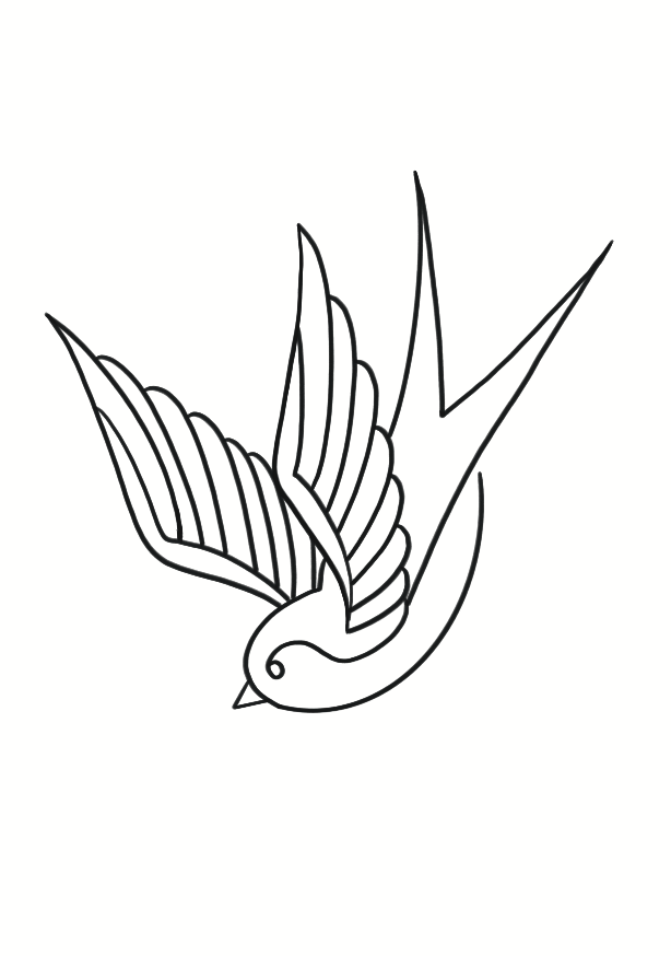 Hirondelle d'Azur