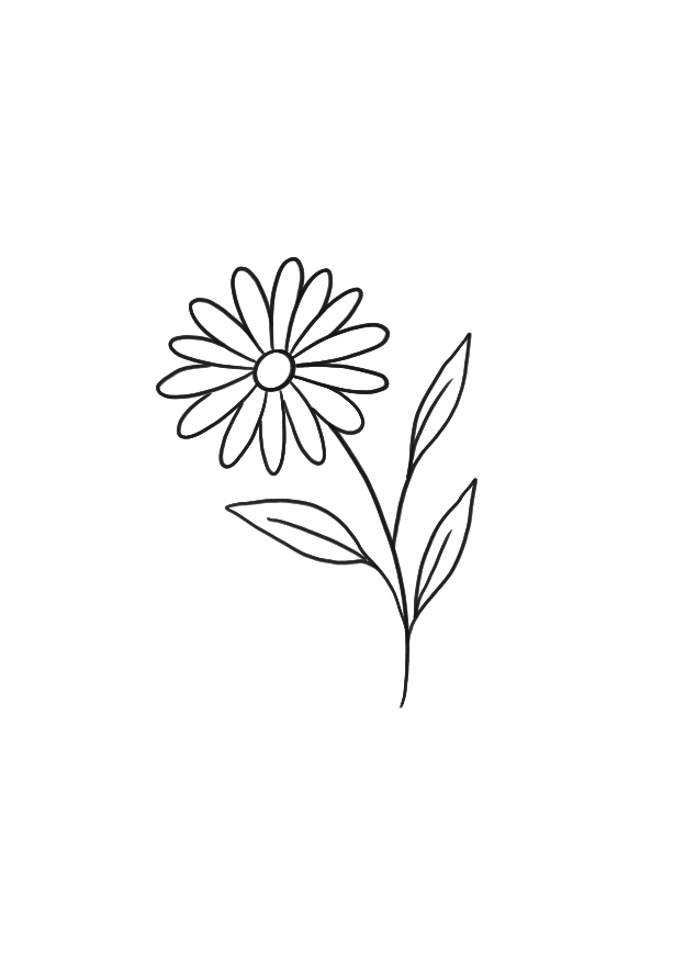 Marguerite d'Été