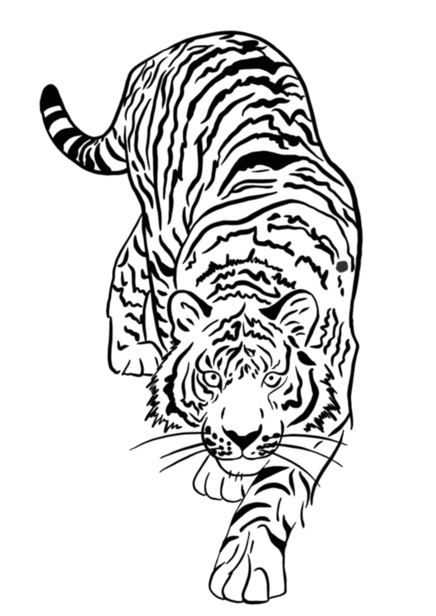 Tigre du Mékong