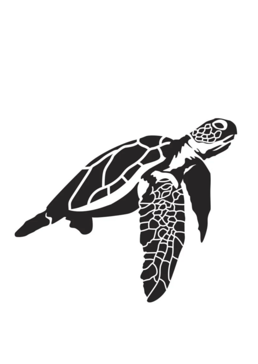 Tortue de Kani Keli
