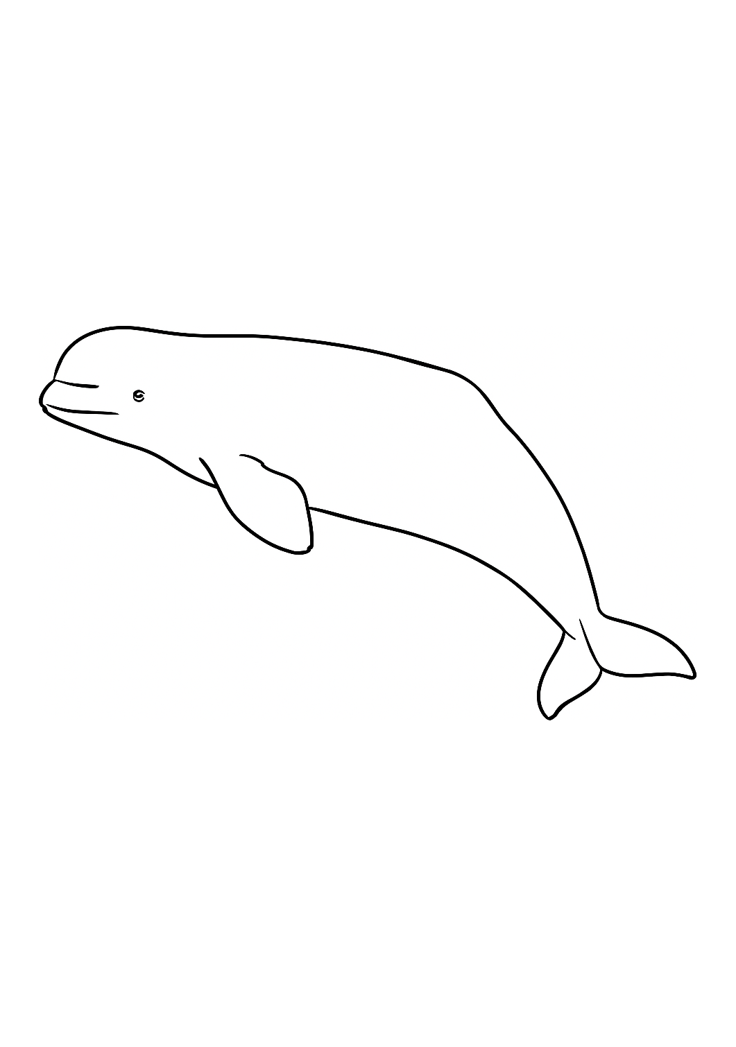 Béluga de l’Arctique
