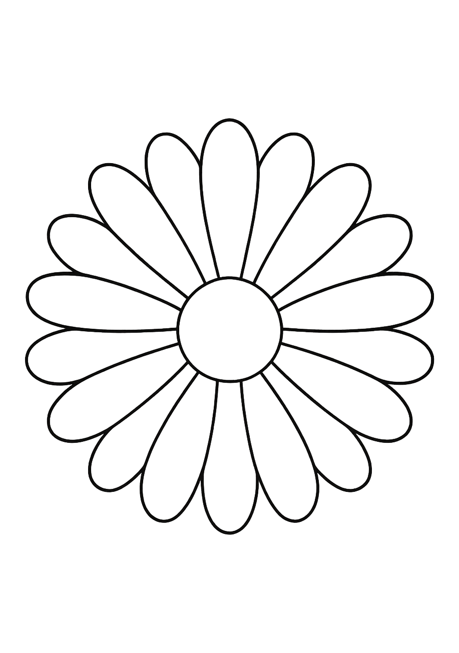 Bleuet de Normandie