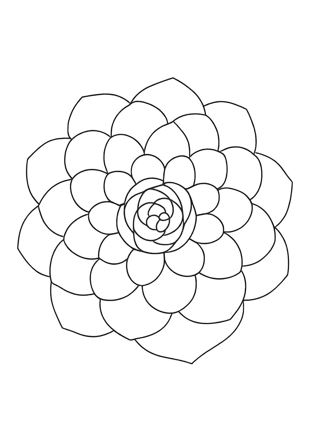 Camélia de Kyoto