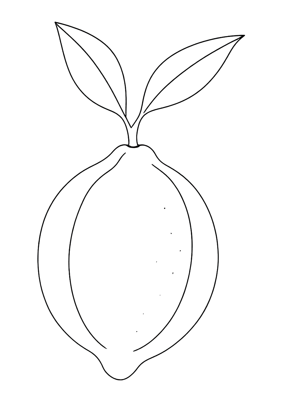 Citron vert de Menton