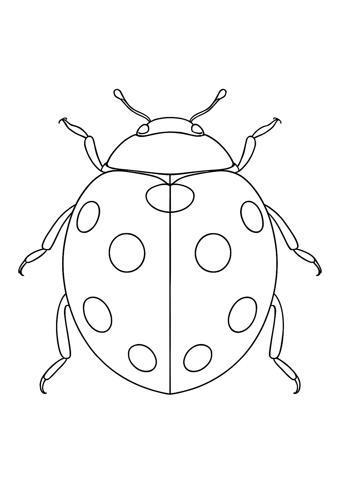Coccinelle des Jardins de Provence