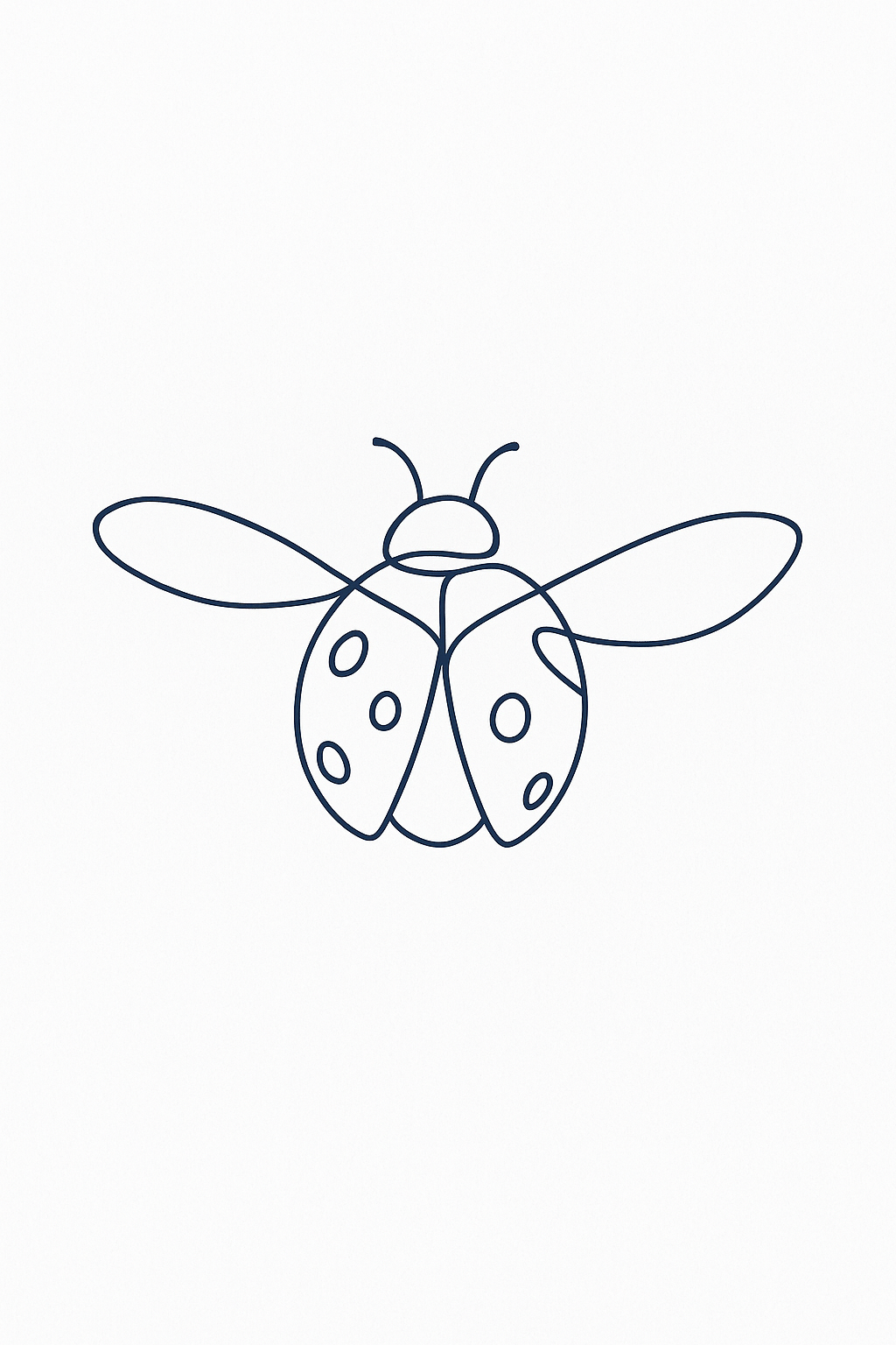 Coccinelle de Provence