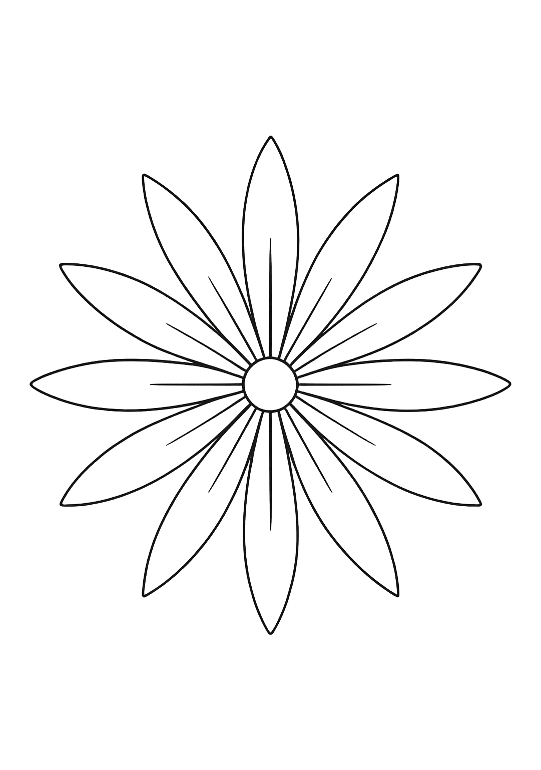 Cosmos de Jaipur