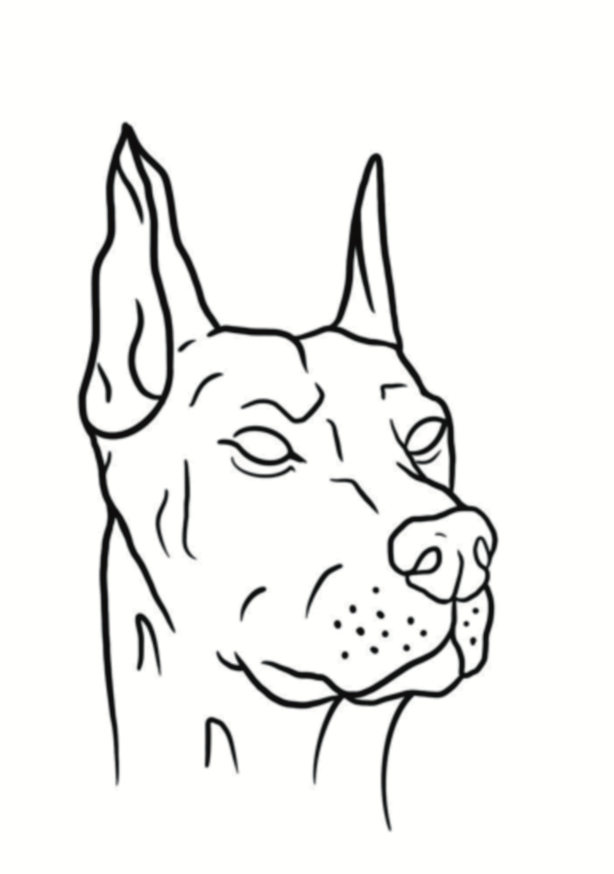 Dobermann De Garde