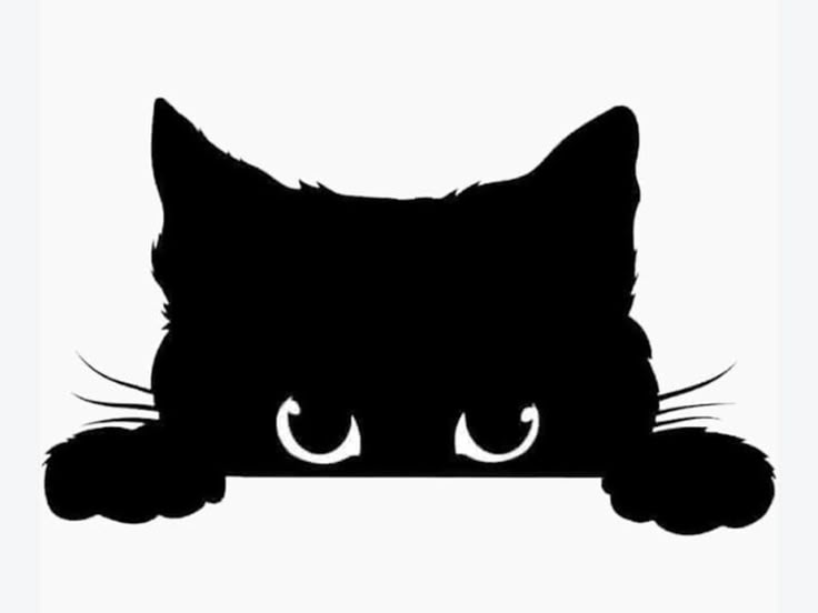 Surprise de Chat
