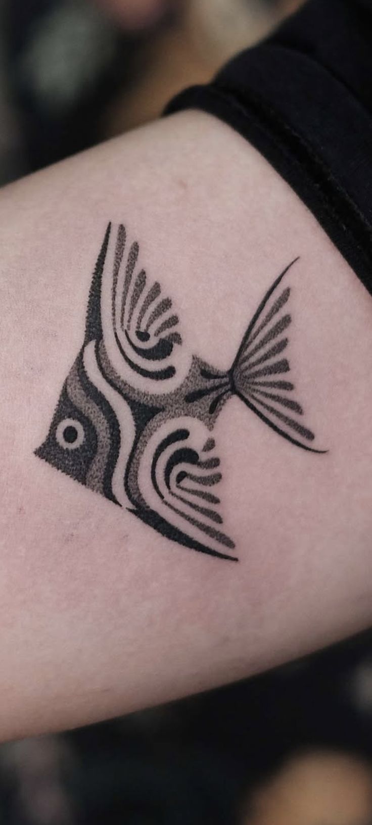 Poisson de Couleurs