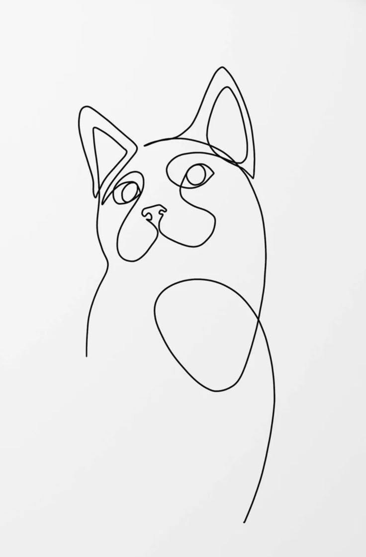 Chat de Lignes