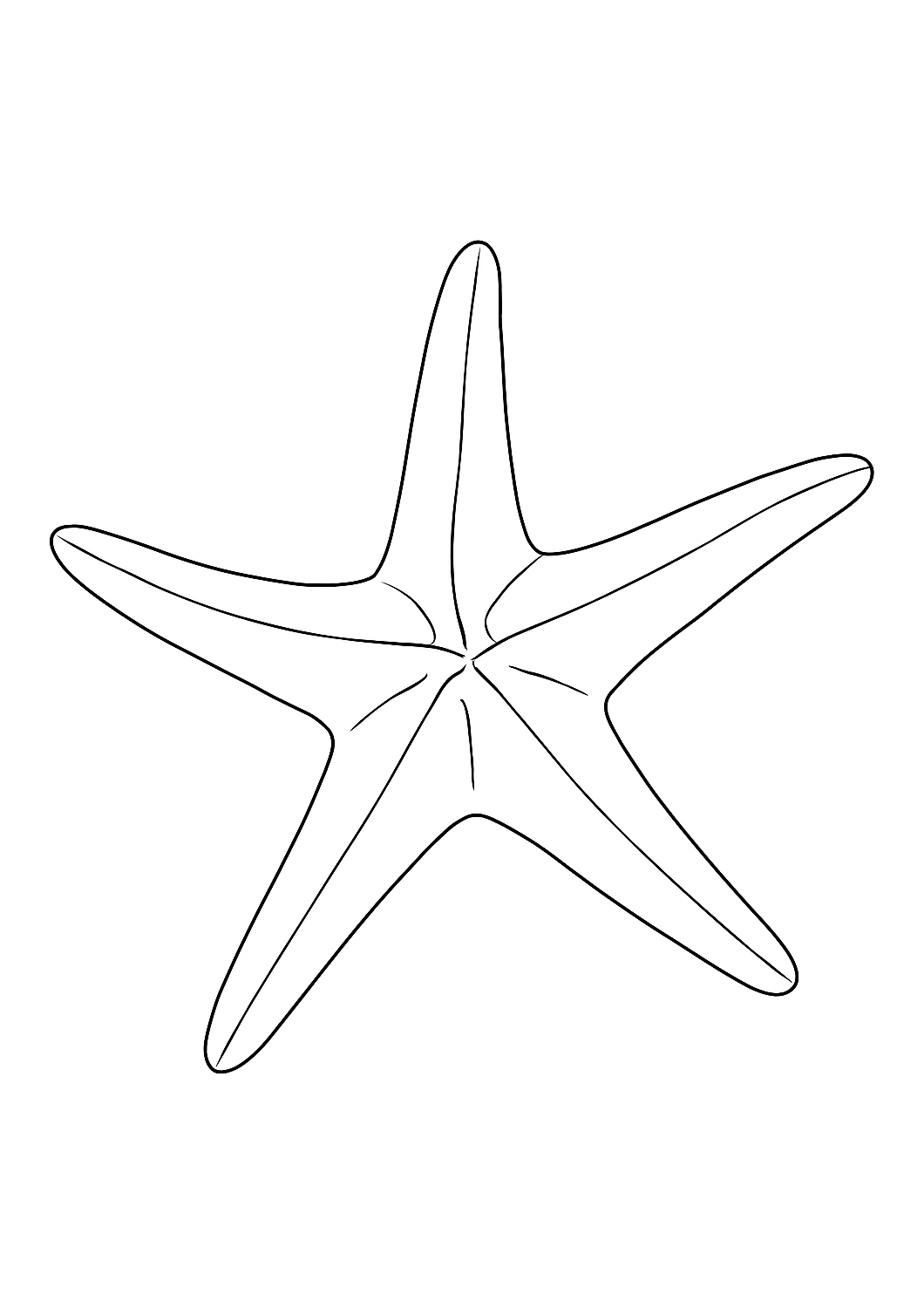 Étoile de mer d’Acadia