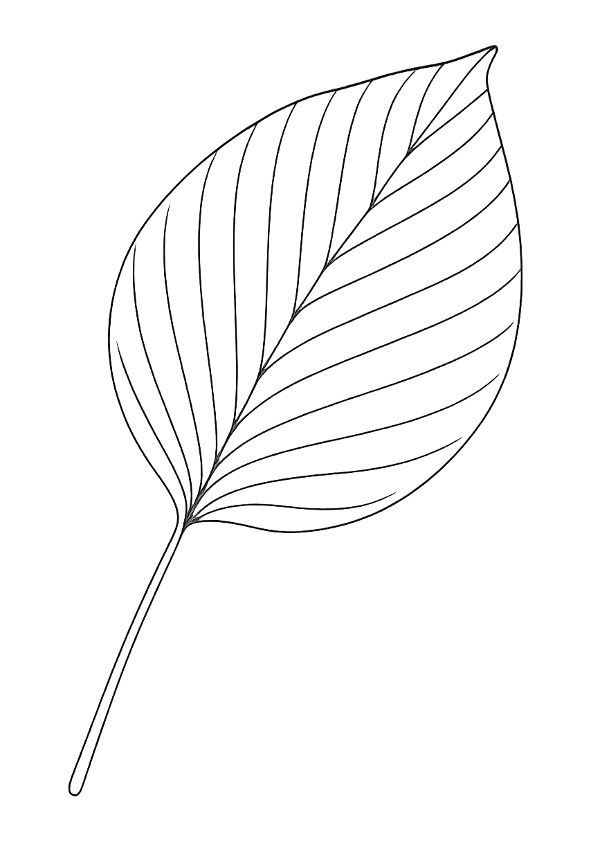 Éventail de Ginkgo de Kyoto