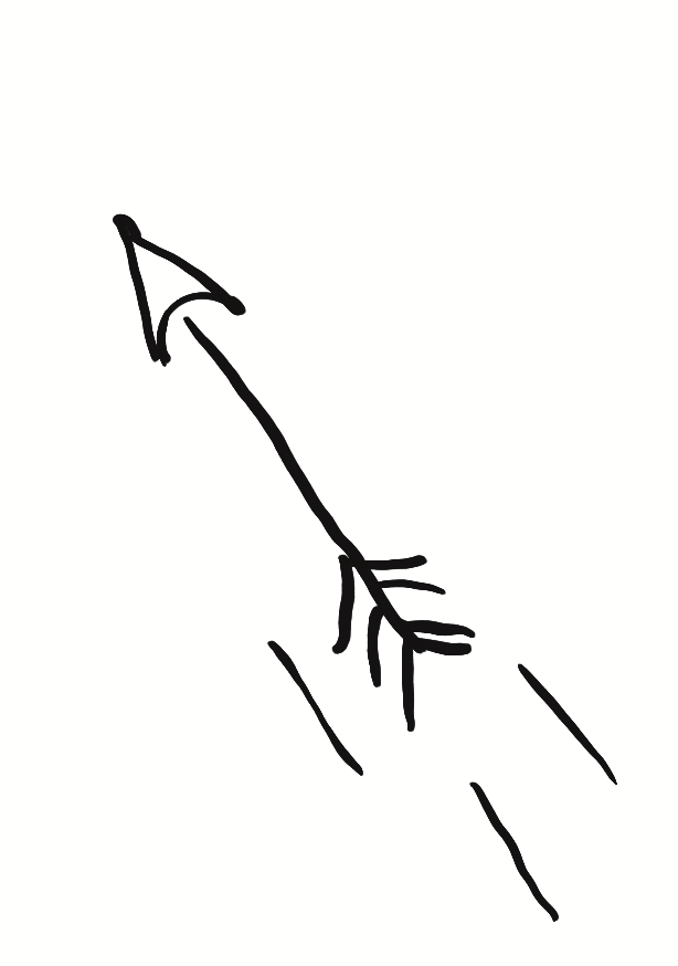 Flèche D'Orphée