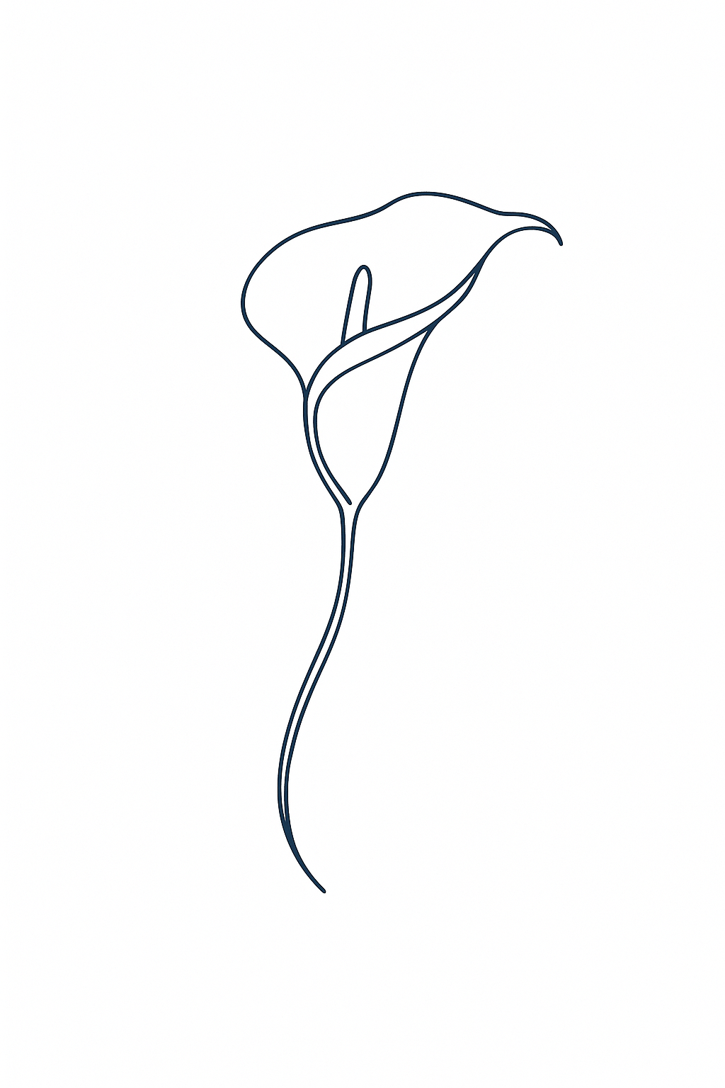 Arum de Sicile