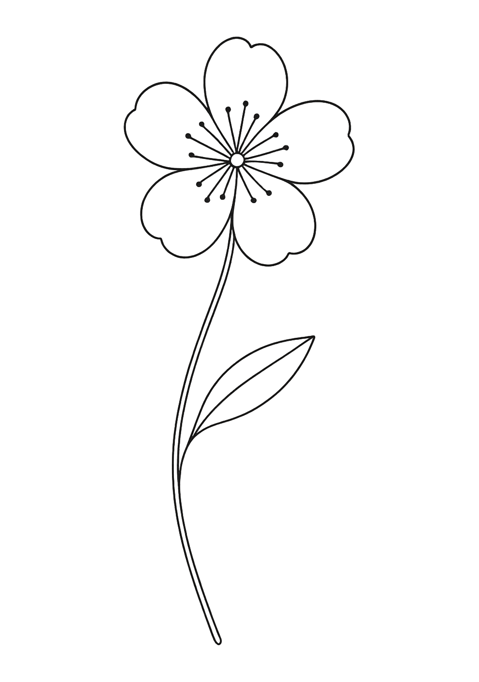 Fleur de cerisier de Kyoto-Sora