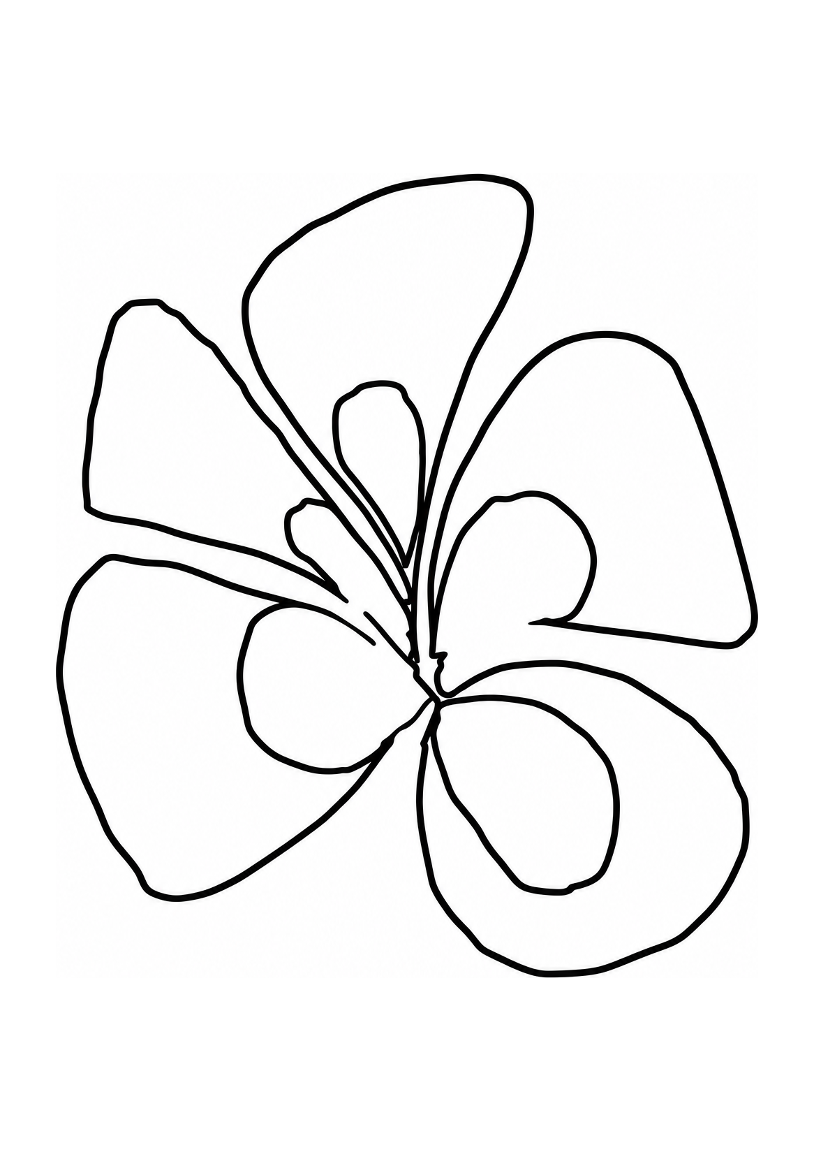 Fleur de Pétales
