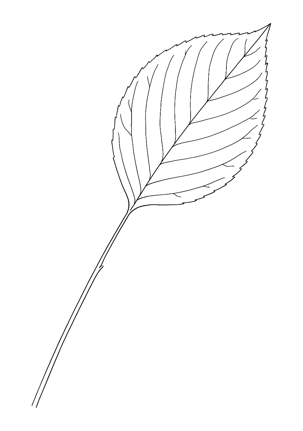 Fleur de prunier de Hangzhou
