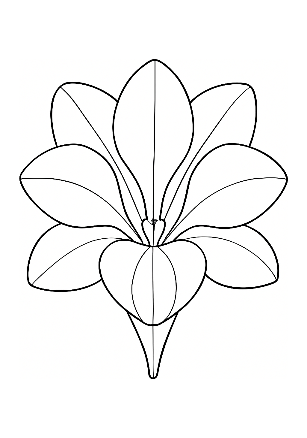 Freesia de Provence