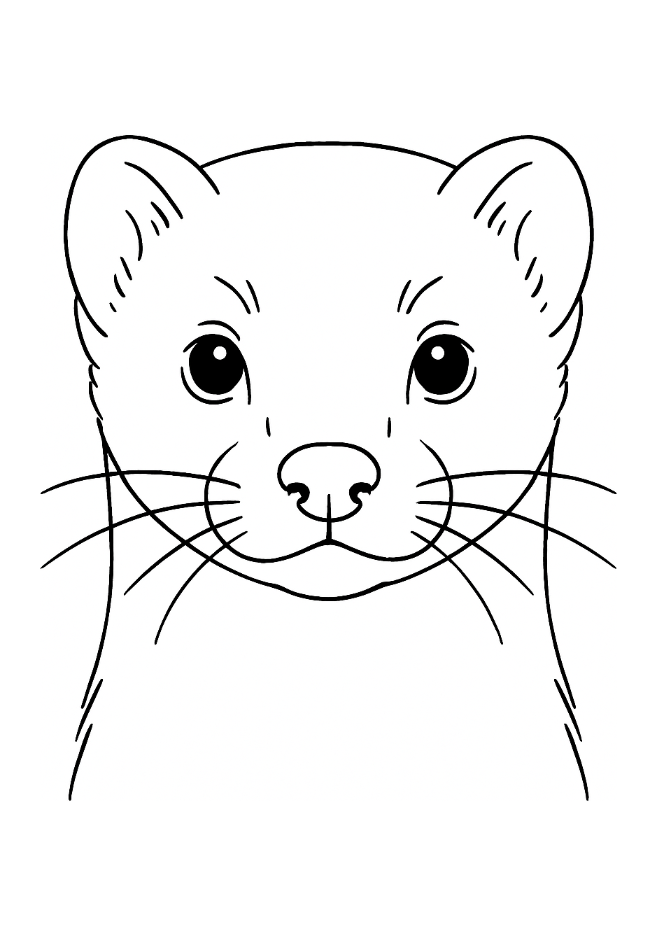 Furet des Alpes