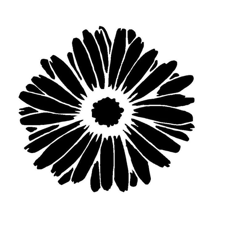 Fleur de soleil
