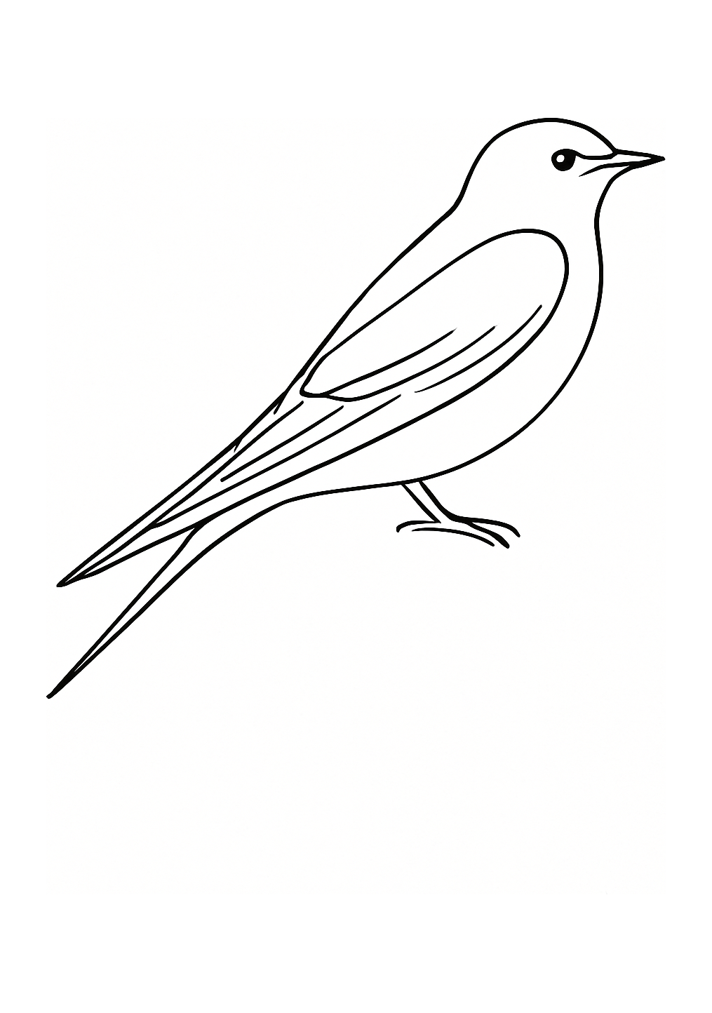 Hirondelle de Beyrouth
