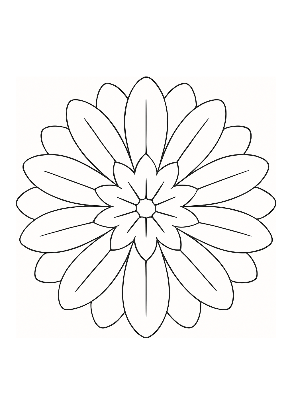 Immortelle de Provence