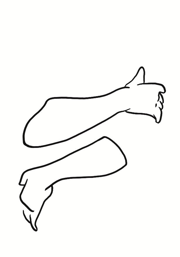 Jambes De Minuit