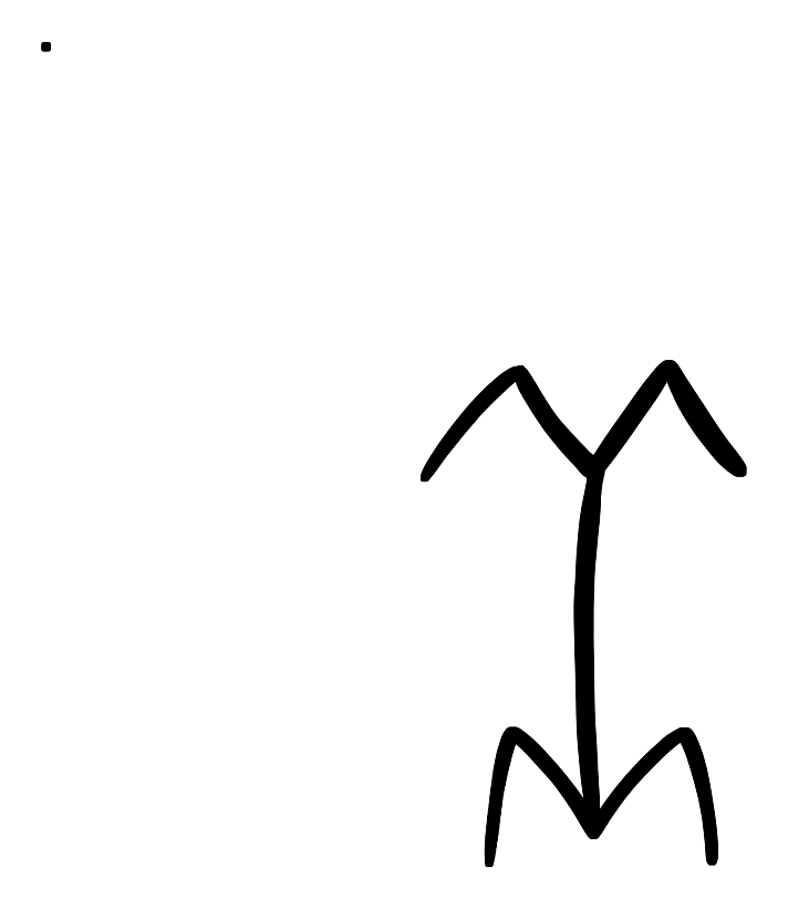 Oiseau d'Akka